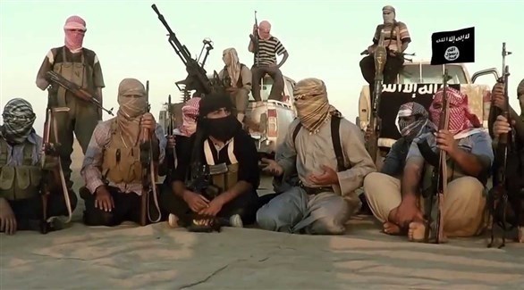الجماعات الإرهابية في سيناء