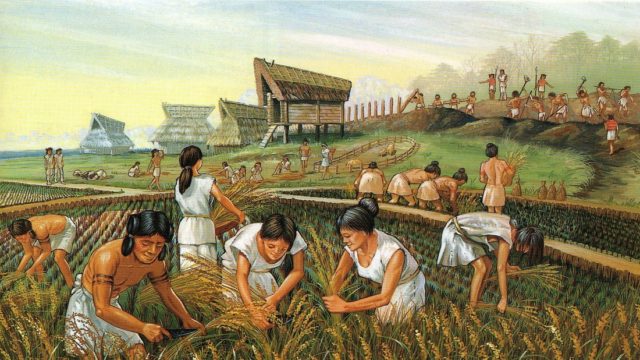 الثورة الزراعية