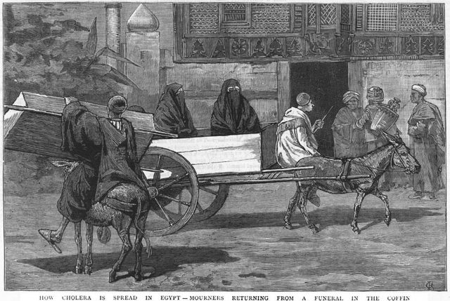 الكوليرا في مصر في القرن 19