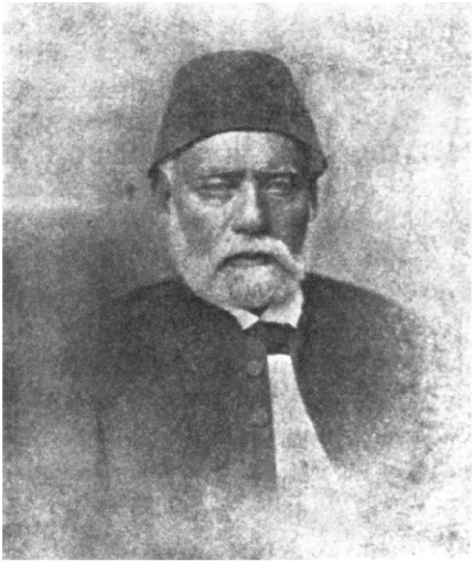 محمد سلطان باشا