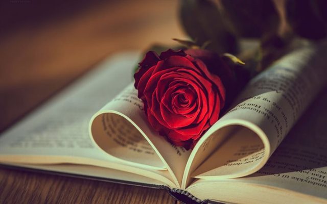 الحب والقراءة