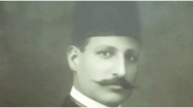 رياض باشا شحاتة