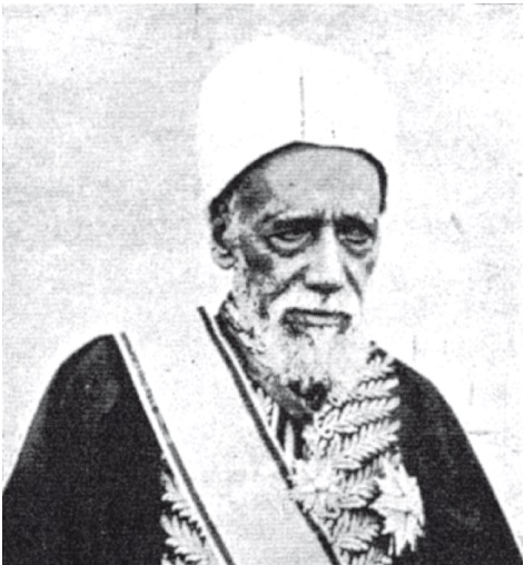 الشيخ محمد أبوالفضل الجيزاوى