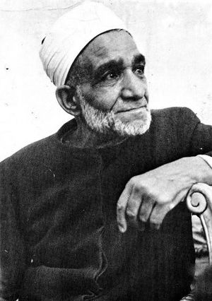 الشيخ محمد شلتوت