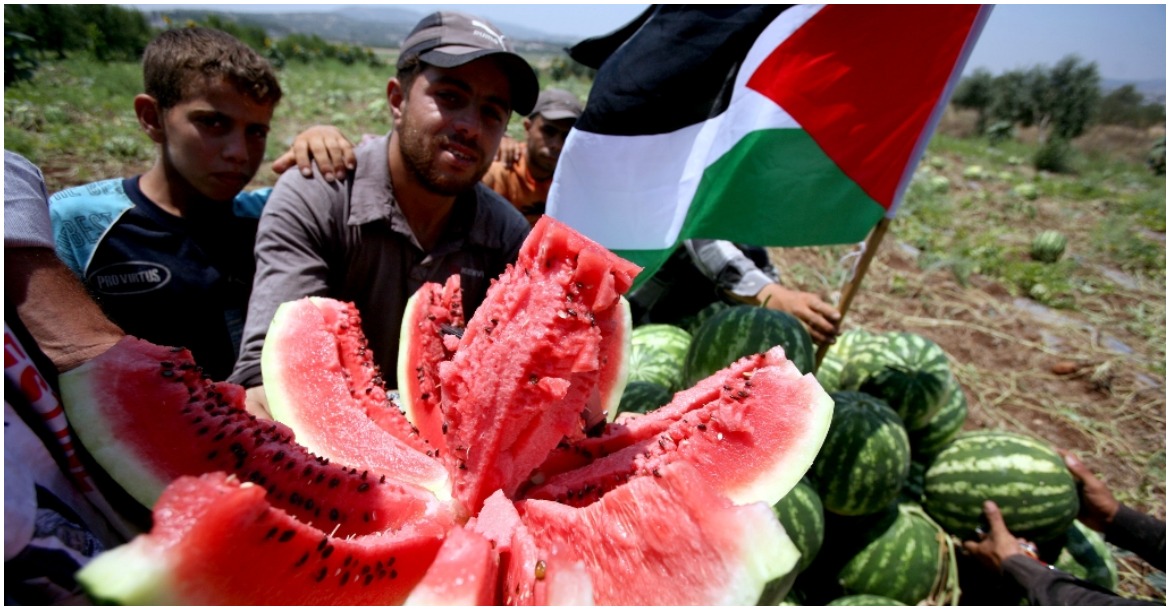 البطيخ فلسطين