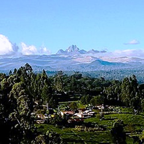 جبل كينيا